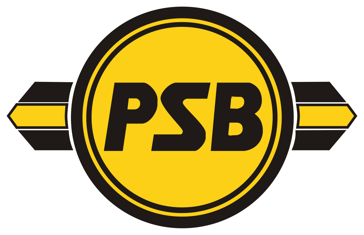 Logo "Plauener Straßenbahn GmbH"