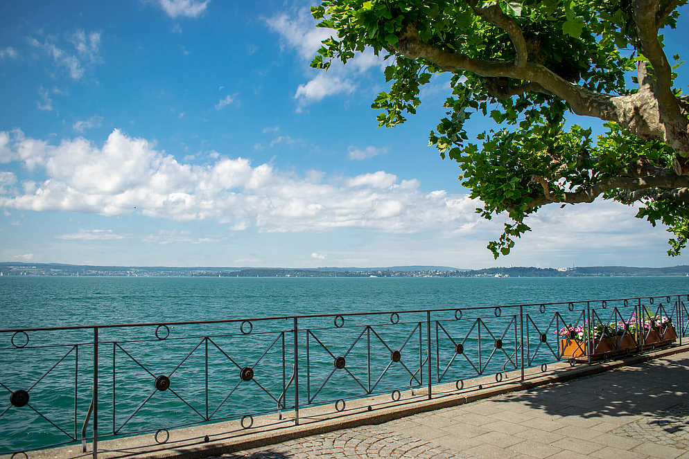 Panoramablick über den Bodensee