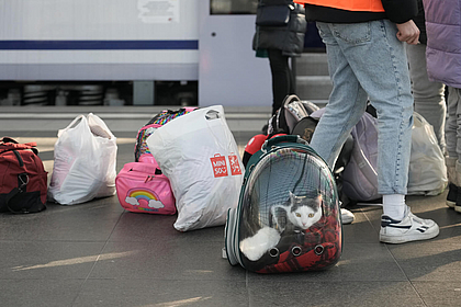 Ukrainische Geflüchtete stehen samt Katze im Gepäck am Berliner Hauptbahnhof